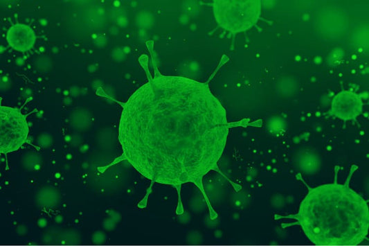 CBD and the Fight Against Germs