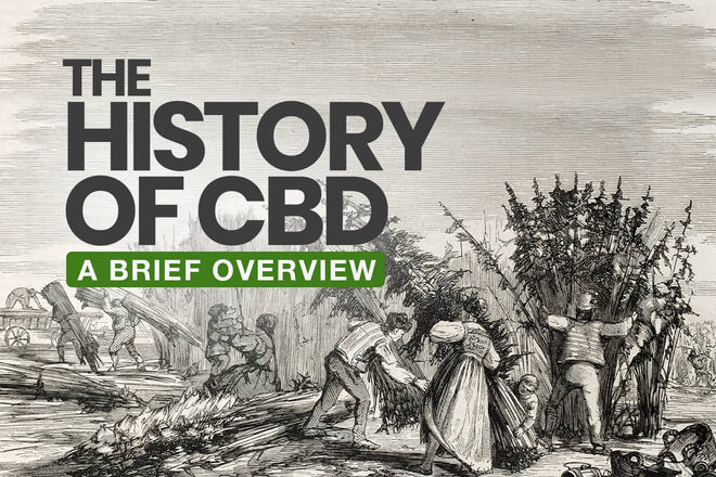 History of CBD