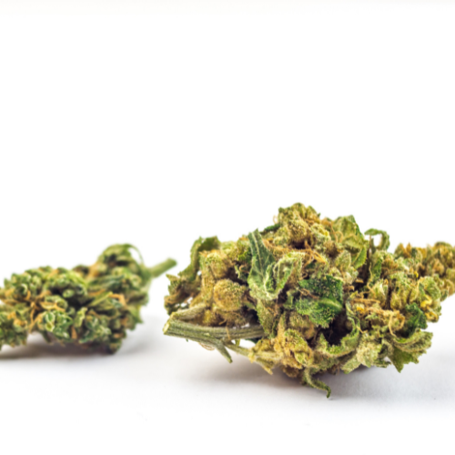 CBD Flower