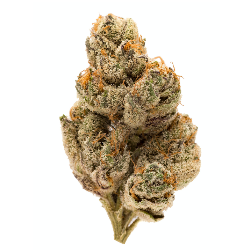 Dosidos - THCA Hemp Flower - Complete Bud