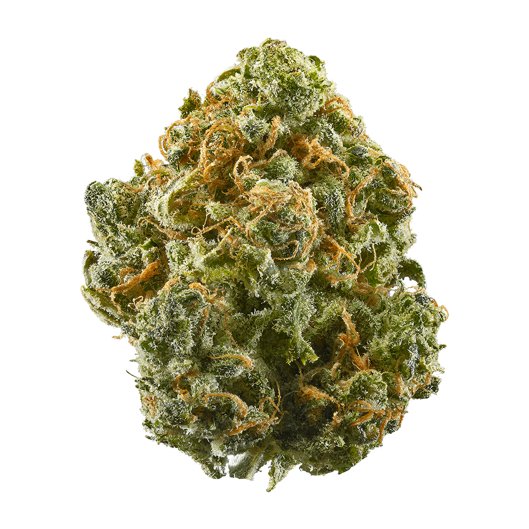 Honey Guava- 31% THCA Flower - Hybrid