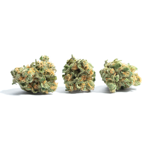 Mach 1 - THCA Hemp Flower - Complete Bud