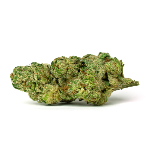 Gelato Punch - THCA Hemp Flower - Complete Bud