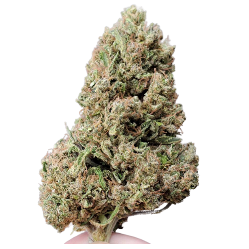 Hippie Crippler - THCA Flower - Complete Bud