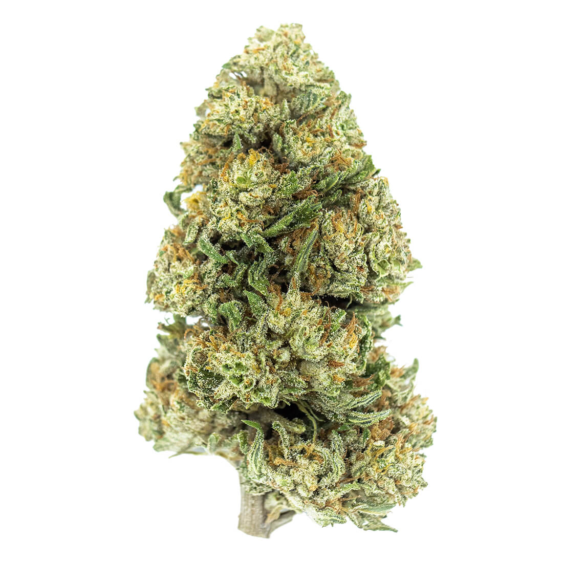 The White CBG