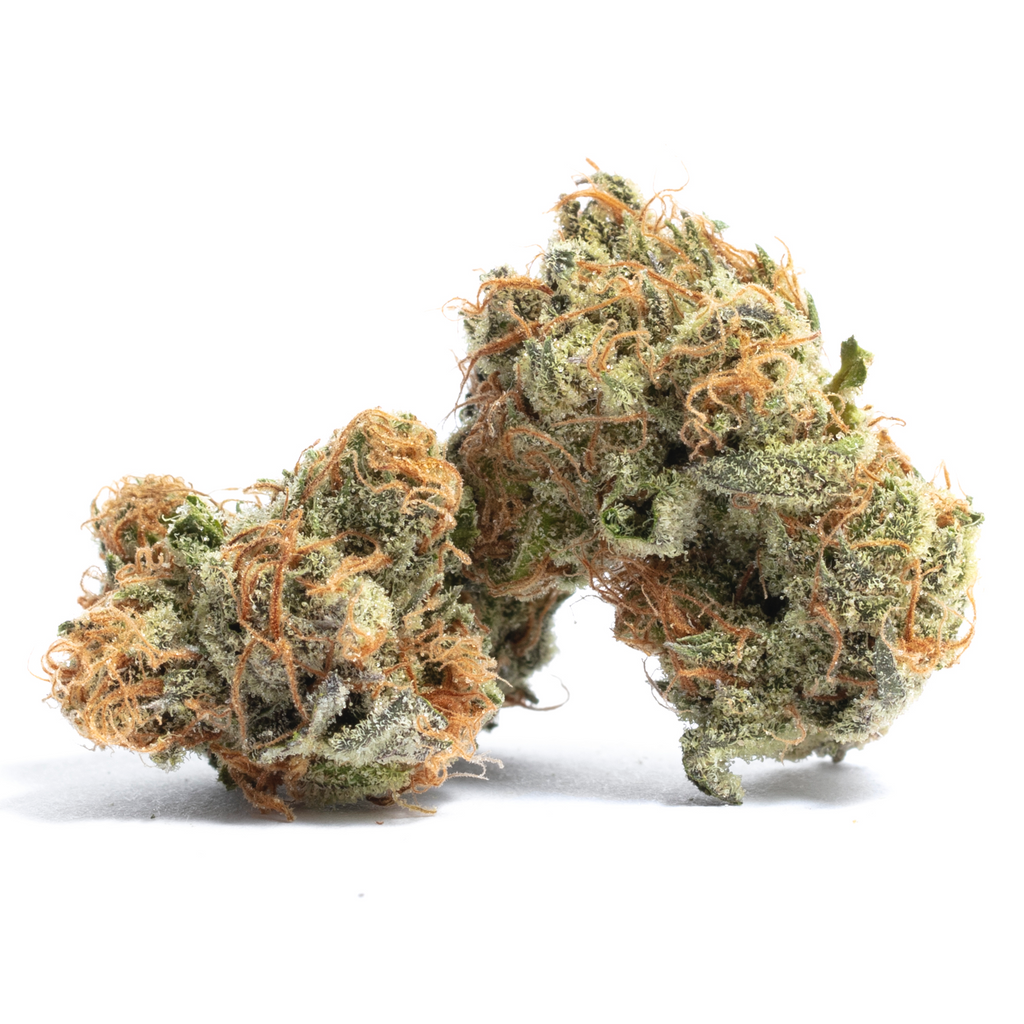 Gelato 41 - THCA Flower - Complete Bud