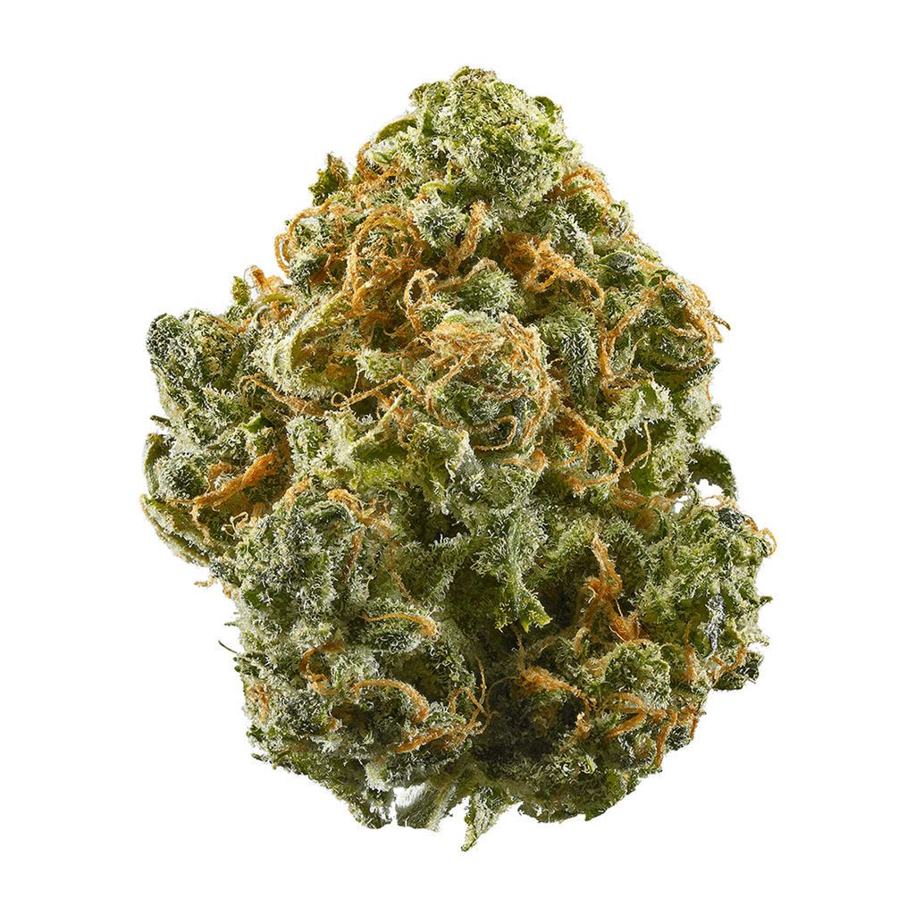 Grape Sherbet - THCA Flower - Complete Bud