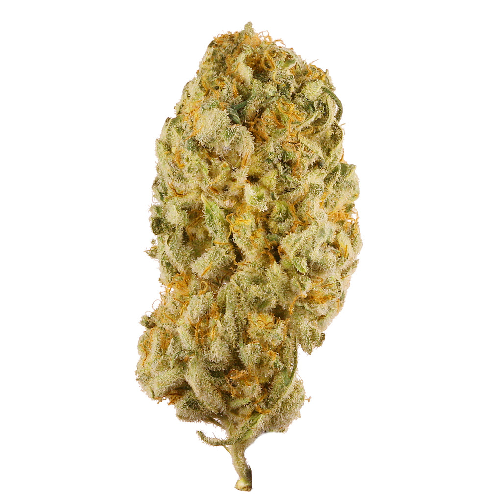 Jack Herer - THCA Flower - Complete Bud