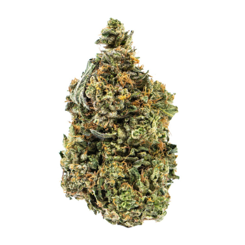 Venom OG - THCA Hemp Flower - Complete Bud