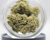Shasta Candy - Delta 8 Hemp Flower Preroll - Complete Bud- Sativa